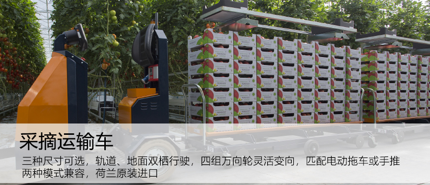 右2